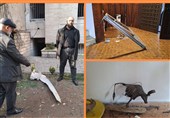 وقتی موشک به قلب گالری هنری خورد