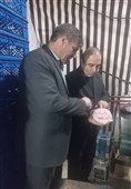 ذخایر استراتژیک مرغ منجمد در اردبیل مطلوب است