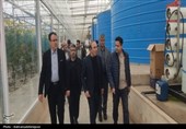 معاون استاندار اردبیل از پروژه‌های اقتصادی پارس‌آباد بازدید کرد