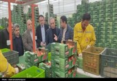 معاون استاندار اردبیل از پروژه‌های اقتصادی پارس‌آباد بازدید کرد
