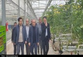 معاون استاندار اردبیل از پروژه‌های اقتصادی پارس‌آباد بازدید کرد