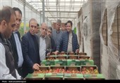 معاون استاندار اردبیل از پروژه‌های اقتصادی پارس‌آباد بازدید کرد