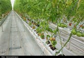 معاون استاندار اردبیل از پروژه‌های اقتصادی پارس‌آباد بازدید کرد