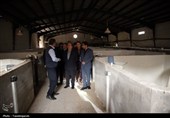 سفر استاندار قزوین به الموت شرقی