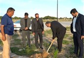 کاشت درخت امید در بوشهر به یاد شهدای ایران