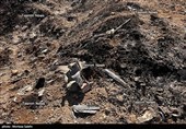 تصاویر اختصاصی تسنیم از انهدام جنگنده  در آسمان مرکزی ایران