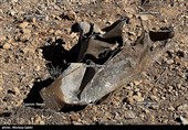 تصاویر اختصاصی تسنیم از انهدام جنگنده  در آسمان مرکزی ایران