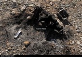 تصاویر اختصاصی تسنیم از انهدام جنگنده  در آسمان مرکزی ایران