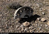 تصاویر اختصاصی تسنیم از انهدام جنگنده  در آسمان مرکزی ایران