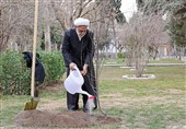 محسنی اژه‌ای، یک اصله نهال غرس کرد