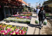 بازار گل تهران زیر سایه جنگ