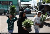 بازار گل تهران زیر سایه جنگ