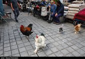 بازار تهران زیر سایه جنگ