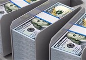 51 صفحه مجازی منتشرکننده قیمت کاذب ارز شناسایی شد