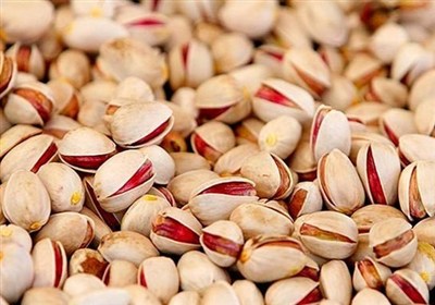 صادرات 101 تن پسته خام خراسان شمالی به پاکستان