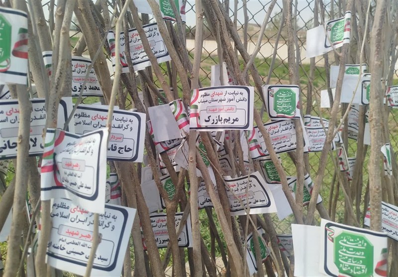 مشهد مقدس , اخبار مشهد , خراسان رضوی , سازمان اوقاف , اخبار استان خراسان رضوی , روز درختکاری , اخبار میناب , شهدای مدافع وطن , جنگ آمریکا و رژیم صهیونیستی علیه ایران , 