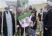 غرس 234 نهال در موقوفه گوهرشاد؛ یادبود شهدای میناب در پویش «سرو ایران»