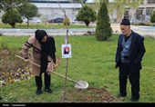 سبزترین ادای احترام به شهدا در صنوگان