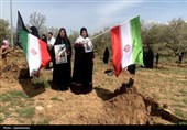 موج درختکاری در یاسوج؛ 20 هزار نهال در یک روز
