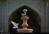 بمناسبت ولادت حضرت معصومه (س)
