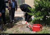 سفر معاون آموزش ابتدایی وزارت آموزش و پرورش به البرز