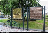 آغاز برداشت نوبرانه چای در لاهیجان