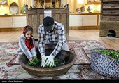 آغاز برداشت نوبرانه چای در لاهیجان