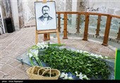 آغاز برداشت نوبرانه چای در لاهیجان