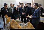 سفر رئیس سازمان حفاظت محیط زیست به ارومیه