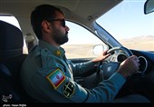 آخرین بازماندگان آهوی ایرانی در شمال غرب کشور
