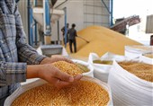 آزمون ثبات بازار کالاهای اساسی؛ از ذخایر 6 ماهه تا توزیع با تورم صفر
