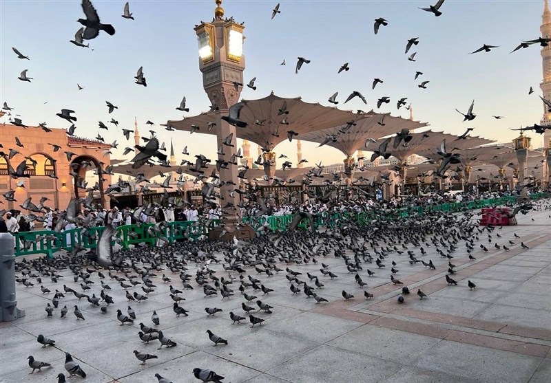 اخبار همدان , اخبار استان همدان ,