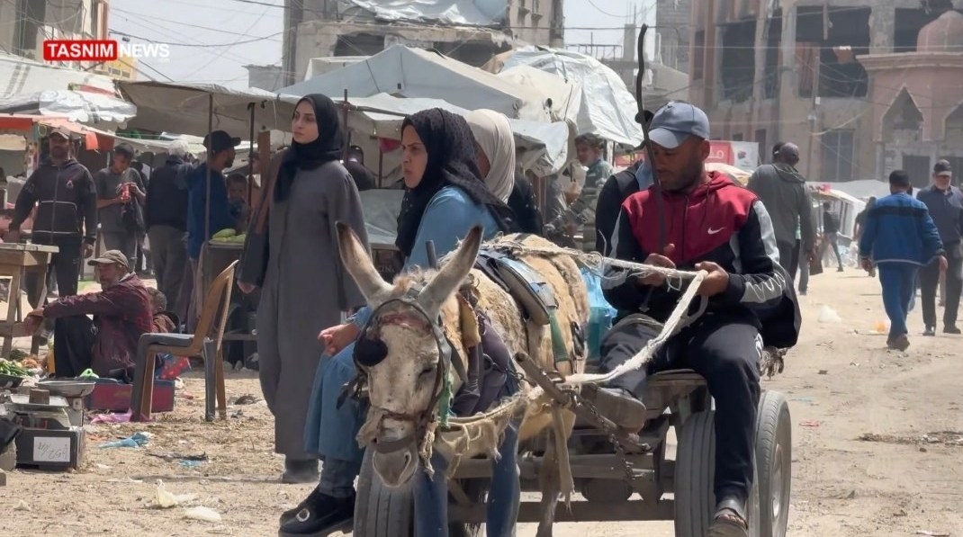 فلسطین , نوار غزه , رژیم صهیونیستی (اسرائیل) ,