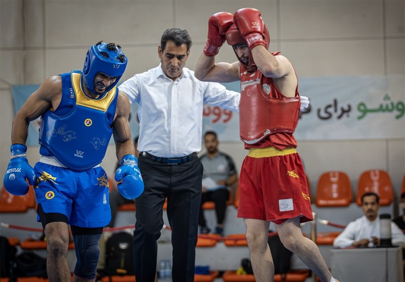ووشو , ووشو ایران , محسن محمدسیفی ,