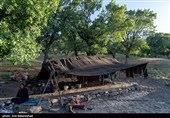 عشایر بختیاری در شهرستان الیگودرز