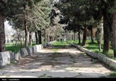 آرامگاهِ تونی؛ همسایه‌یِ رنجورِ ساسانیان