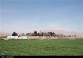 آرامگاهِ تونی؛ همسایه‌یِ رنجورِ ساسانیان