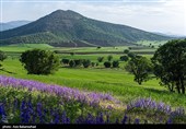 راهبرد امام عسکری (ع) برای در امان‌ماندن از زنگار قلب در آخرالزمان