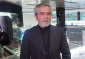 باقری: منطقه ما بدون آمریکا باثبات‌ترین نقطه جهان خواهد بود