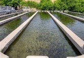 صادرات 7 هزار تن آبزیان از چهارمحال‌وبختیاری به خارج از کشور