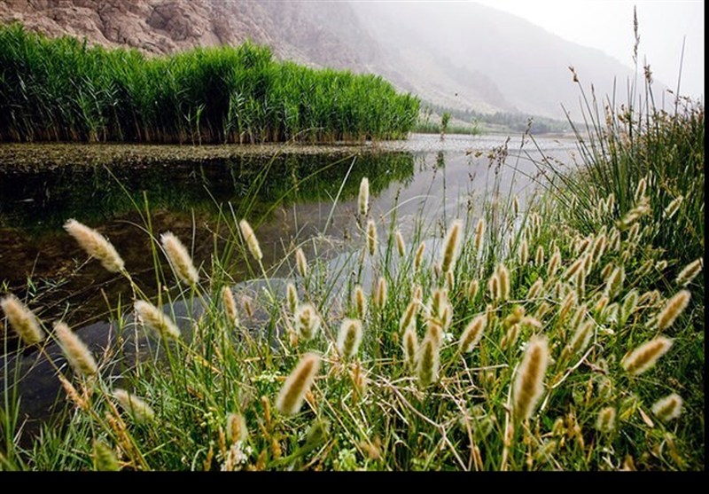 استان لرستان , اخبار استان لرستان , اخبار شهرستان بروجرد , 