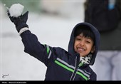 جشنواره آدم‌ برفی در پیست اسکی توچال