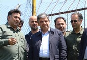 اردبیل کانون تکثیر گوزن زرد ایرانی