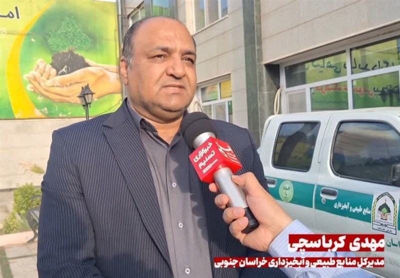 25 میلیارد تومان اعتبار برای مبارزه با ملخ کوهان‌دار در خراسان جنوبی