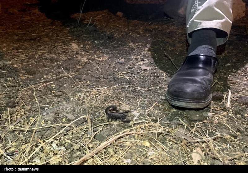 آتش سوزی جنگل ها و مراتع , اخبار گچساران , 