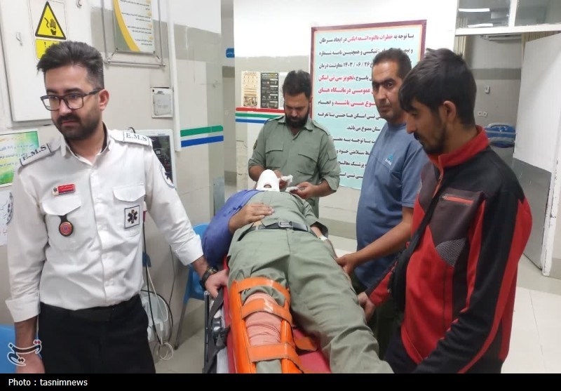 آتش سوزی جنگل ها و مراتع , اخبار گچساران , 