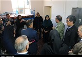 سفر رئیس سازمان حفاظت محیط زیست به استان زنجان