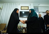 سفر رئیس سازمان حفاظت محیط زیست به استان زنجان
