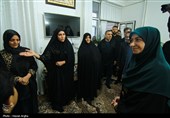 سفر رئیس سازمان حفاظت محیط زیست به استان زنجان