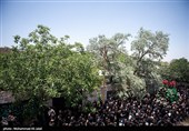 آیین سنتی نخل گردانی روستای دستگرد قم